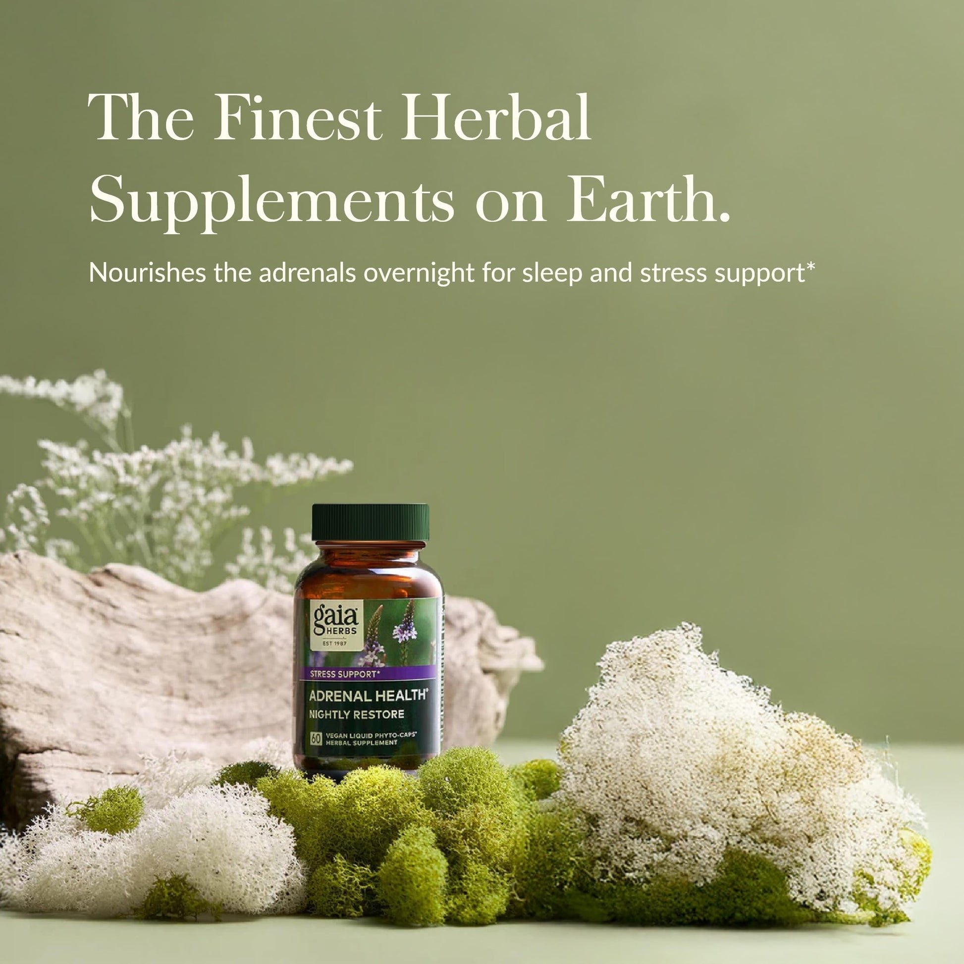 Gaia Herbs Adrenal Health Nightly Restore - Herbal Supplement with Ashwagandha, Magnolia Bark, Cordyceps, Lemon Balm & More - 120 Vegan Liquid Phyto-Capsules (60 Servings) - Nirvana Guru