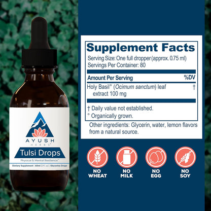 Ayush Herbs Tulsi Drops - Alcohol-Free Tulsi Drops, Holy Basil Gylcerite, Natural Immune-Support Drops for Kids & Adults, Calm & Focus Booster - 2 Fl Oz (80 Servings) Nirvana Guru