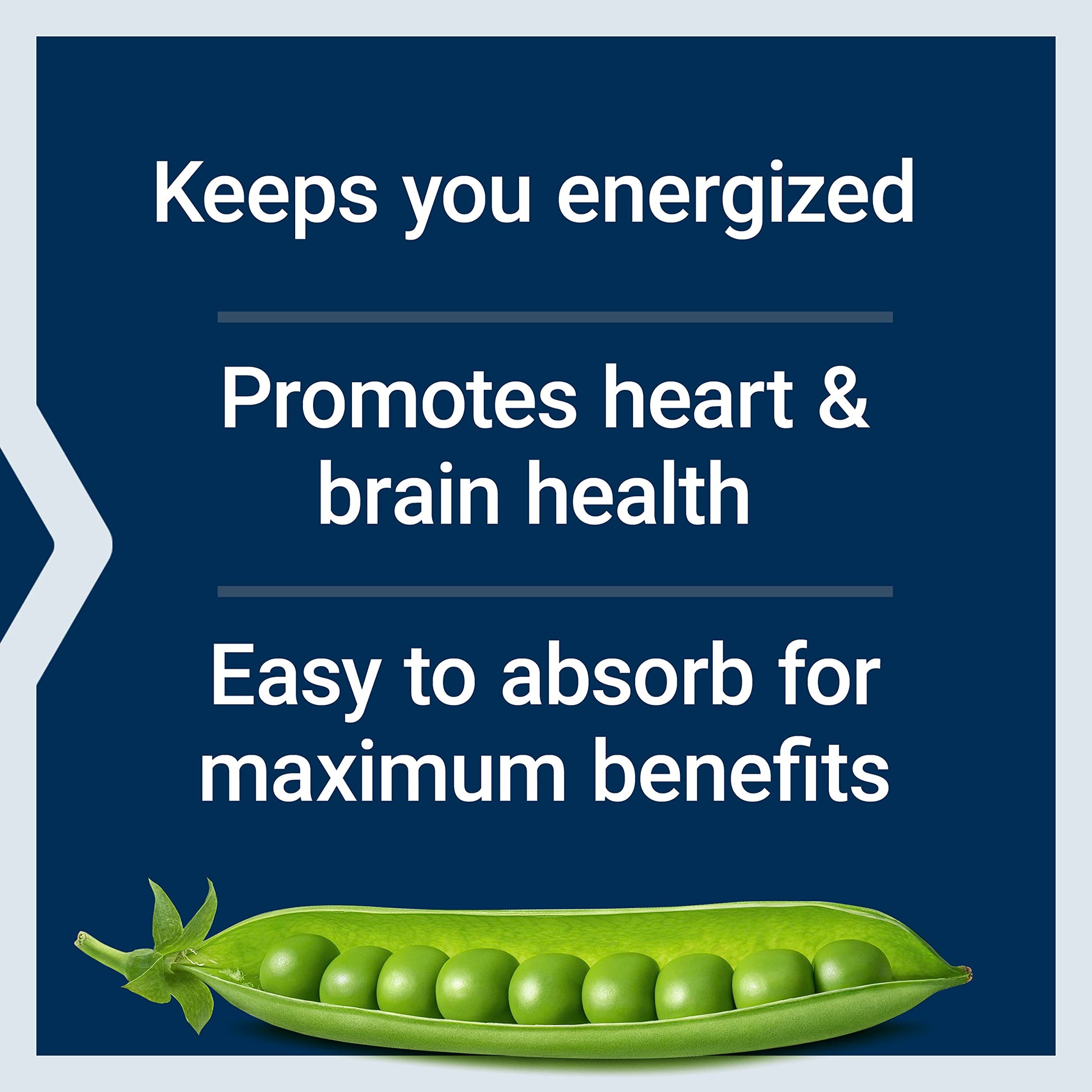 Life Extension BioActive Complete B-Complex, Heart, Brain and Nerve Support, Healthy Energy, Metabolism, Complete B Complex, 60 Vegetarian Capsules Nirvana Guru