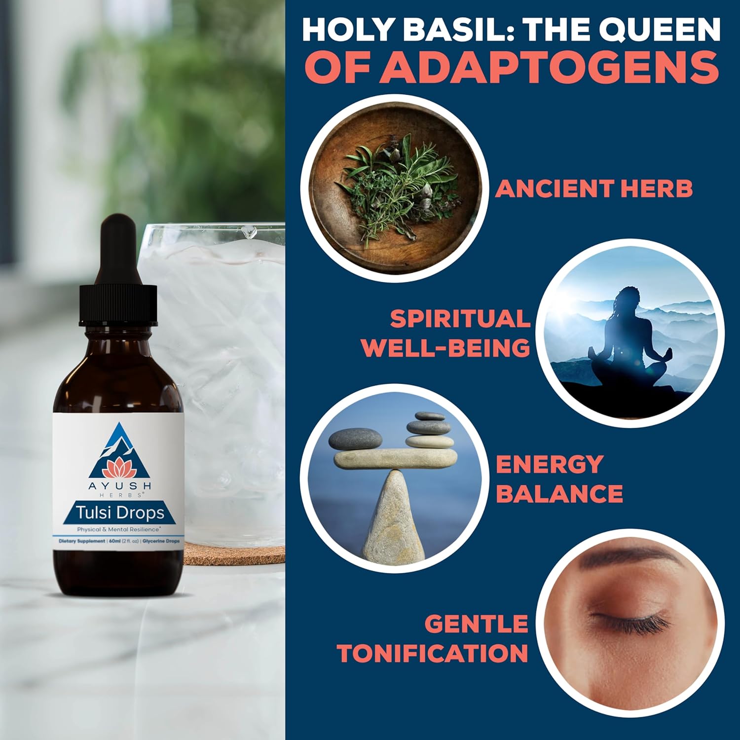 Ayush Herbs Tulsi Drops - Alcohol-Free Tulsi Drops, Holy Basil Gylcerite, Natural Immune-Support Drops for Kids & Adults, Calm & Focus Booster - 2 Fl Oz (80 Servings) Nirvana Guru