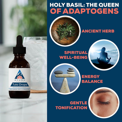 Ayush Herbs Tulsi Drops - Alcohol-Free Tulsi Drops, Holy Basil Gylcerite, Natural Immune-Support Drops for Kids & Adults, Calm & Focus Booster - 2 Fl Oz (80 Servings) Nirvana Guru