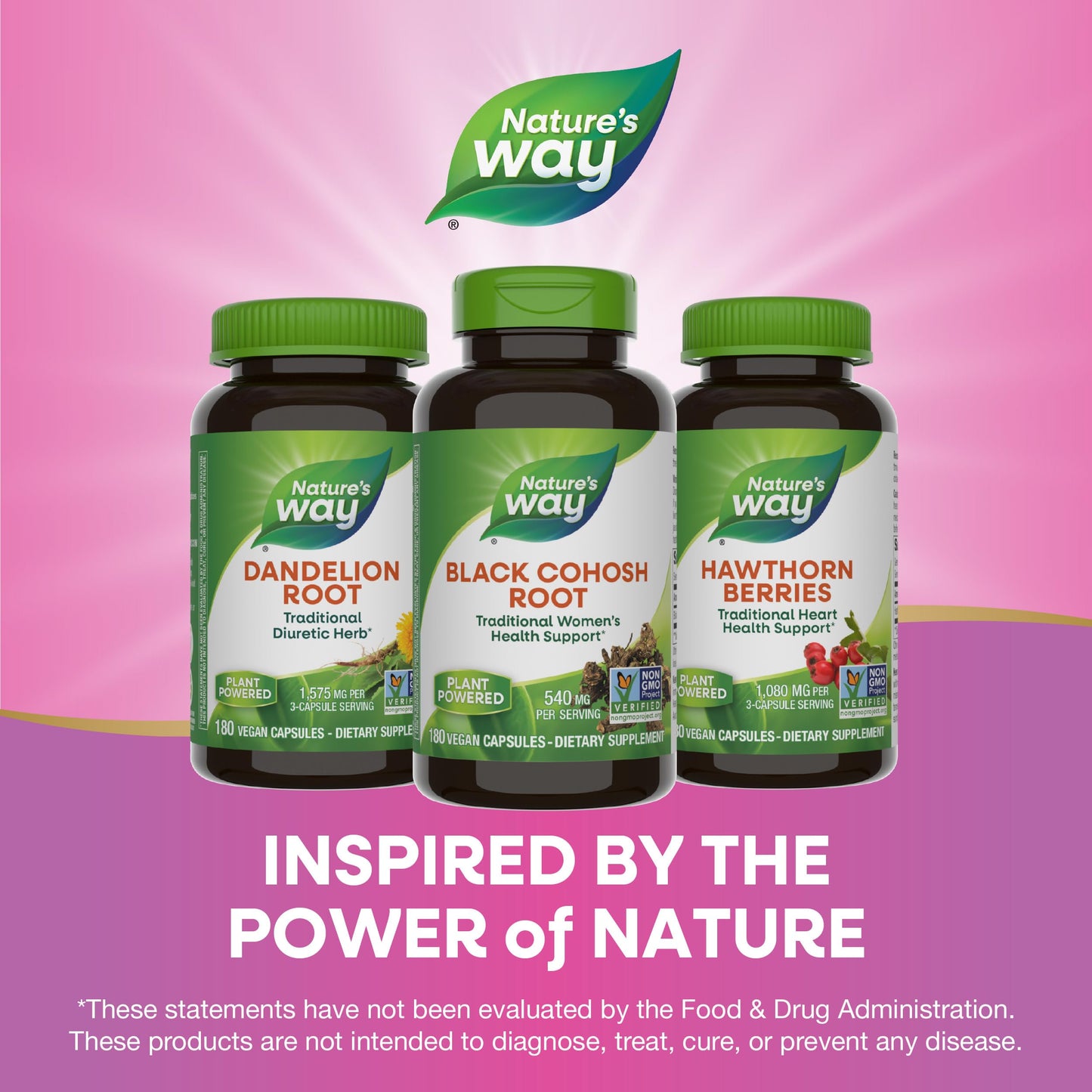 Nature's Way Black Cohosh Root, Traditional Support for Women's Health*, 540 mg per Serving, Non-GMO Project Verified, 180 Capsules - Nirvana Guru