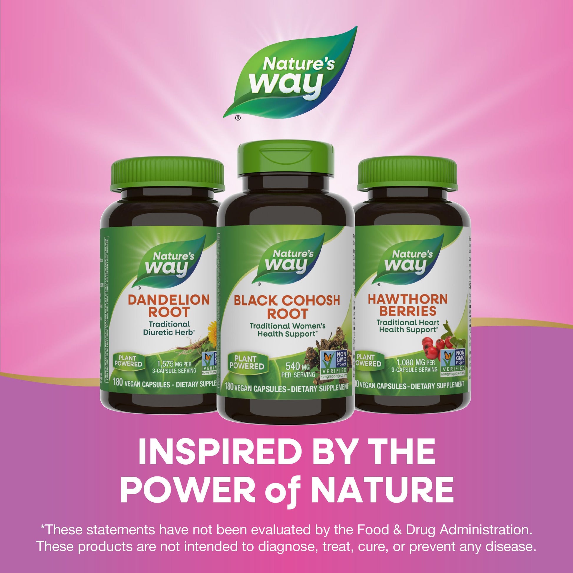 Nature's Way Black Cohosh Root, Traditional Support for Women's Health*, 540 mg per Serving, Non-GMO Project Verified, 180 Capsules - Nirvana Guru