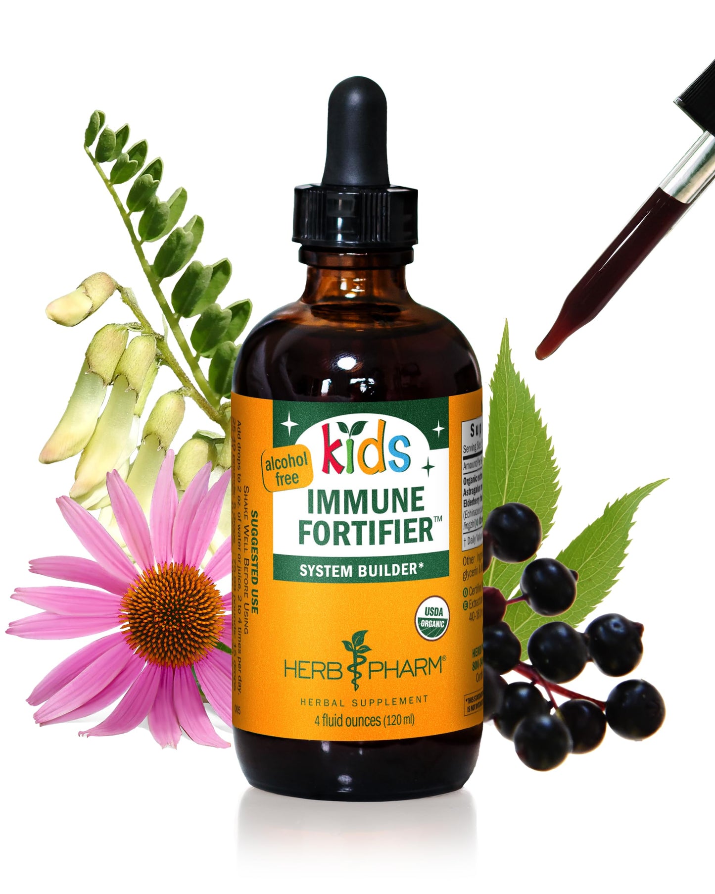 Herb Pharm Kids Certified-Organic Alcohol-Free Immune Fortifier Liquid Herbal Formula, 1 Ounce - Nirvana Guru