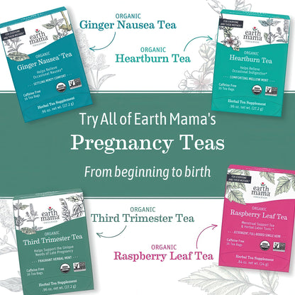 Earth Mama Organic Third Trimester Tea Bags | 100% USDA Organic Herbal Tea for Late Pregnancy Comfort + Childbirth Preparation, 16 Teabags Per Box (2-Pack) Nirvana Guru