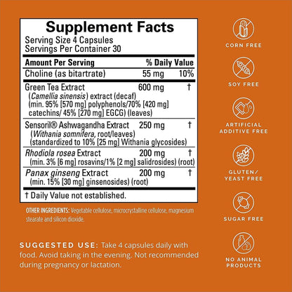 BRAINMD Dr Amen Focus & Energy - 120 Capsules, Pack of 2 - Promotes Concentration & Attention - Caffeine Free, Gluten Free - 60 Total Servings Nirvana Guru