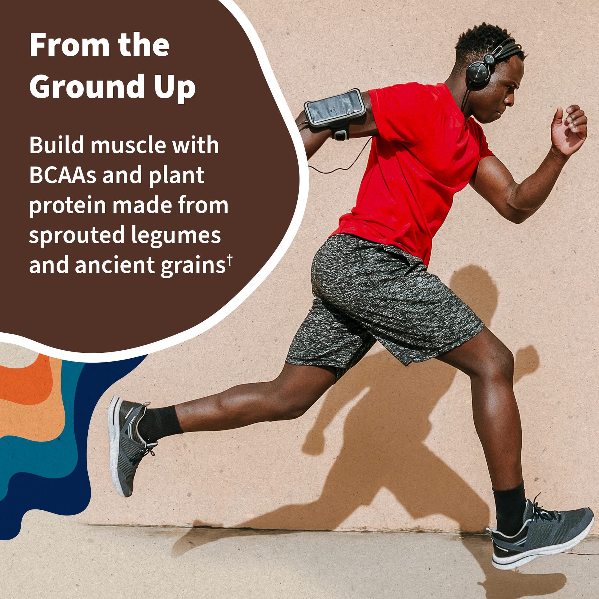 Vegan Protein Powder - Chocolate Organic Protein Powder, 22g Plant Based Protein & BCAAs, Probiotics & Digestive Enzymes - Garden of Life, Gluten & Lactose Free 1.5 LB - Nirvana Guru