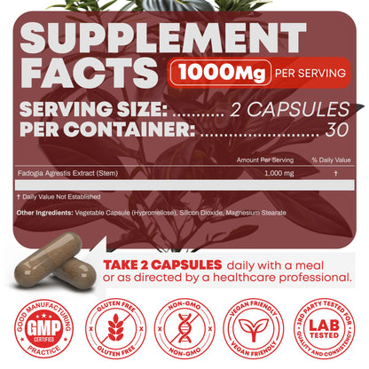 Turkesterone & Tongkat Ali 1000mg Supplement - 500mg Ajuga Turkestanica Per Serving Increase Stamina, Lean Muscle Growth & Recovery - Made in The USA (60 Capsules)