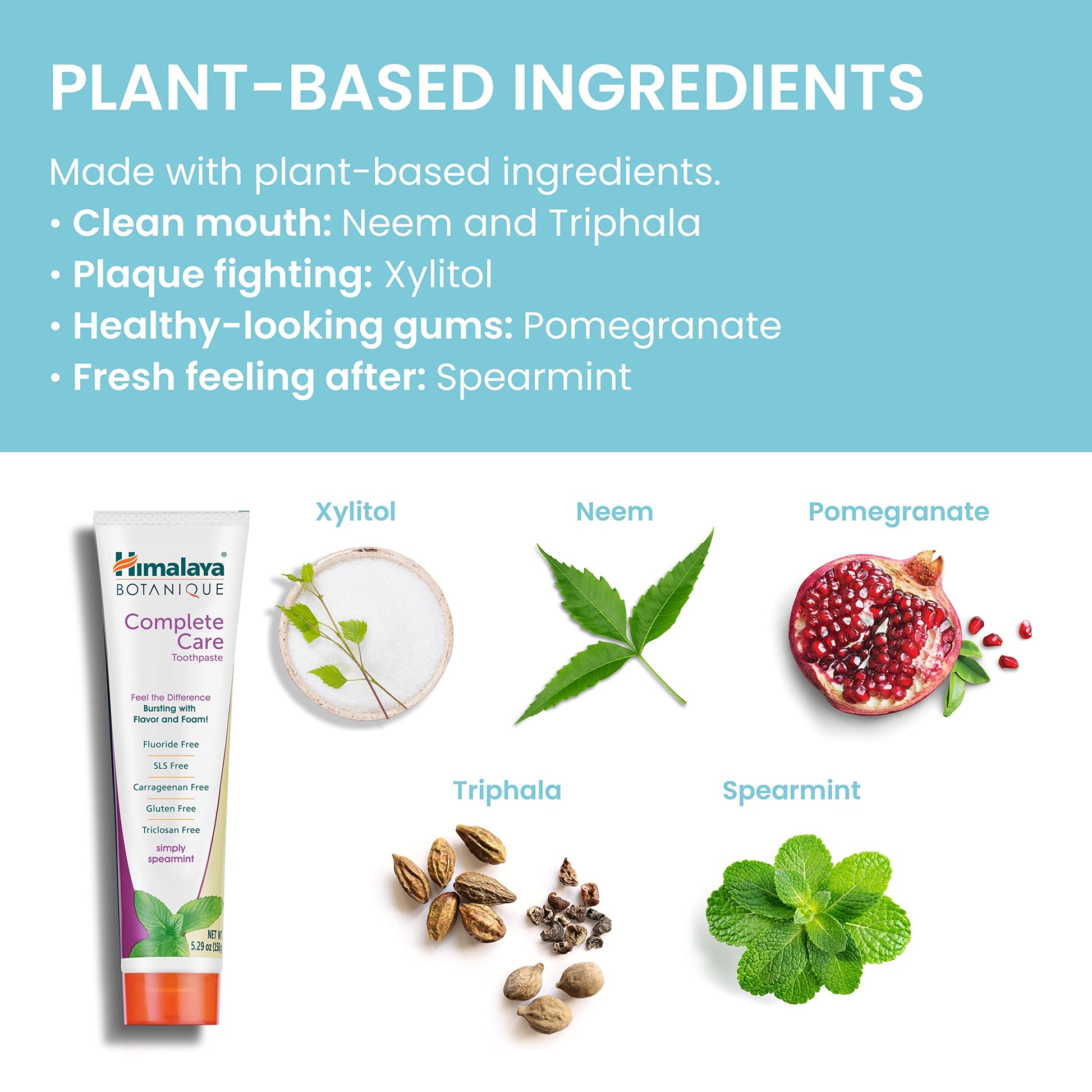 Himalaya Botanique Complete Care Toothpaste, Variety Pack - Fluoride Free Toothpaste for Clean Teeth & Fresh Breath - Vegan, Gluten Free, No Artificial Flavors, 5.29 oz (Pack of 4) - Nirvana Guru