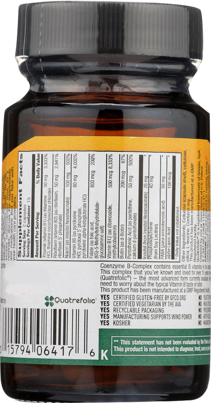 Country Life Coenzyme B-Complex, 120 Capsules – Supports Energy & Metabolism, Mood & Cognitive Function – Vegan, Gluten-Free, Bioavailable B Vitamins with Choline Nirvana Guru