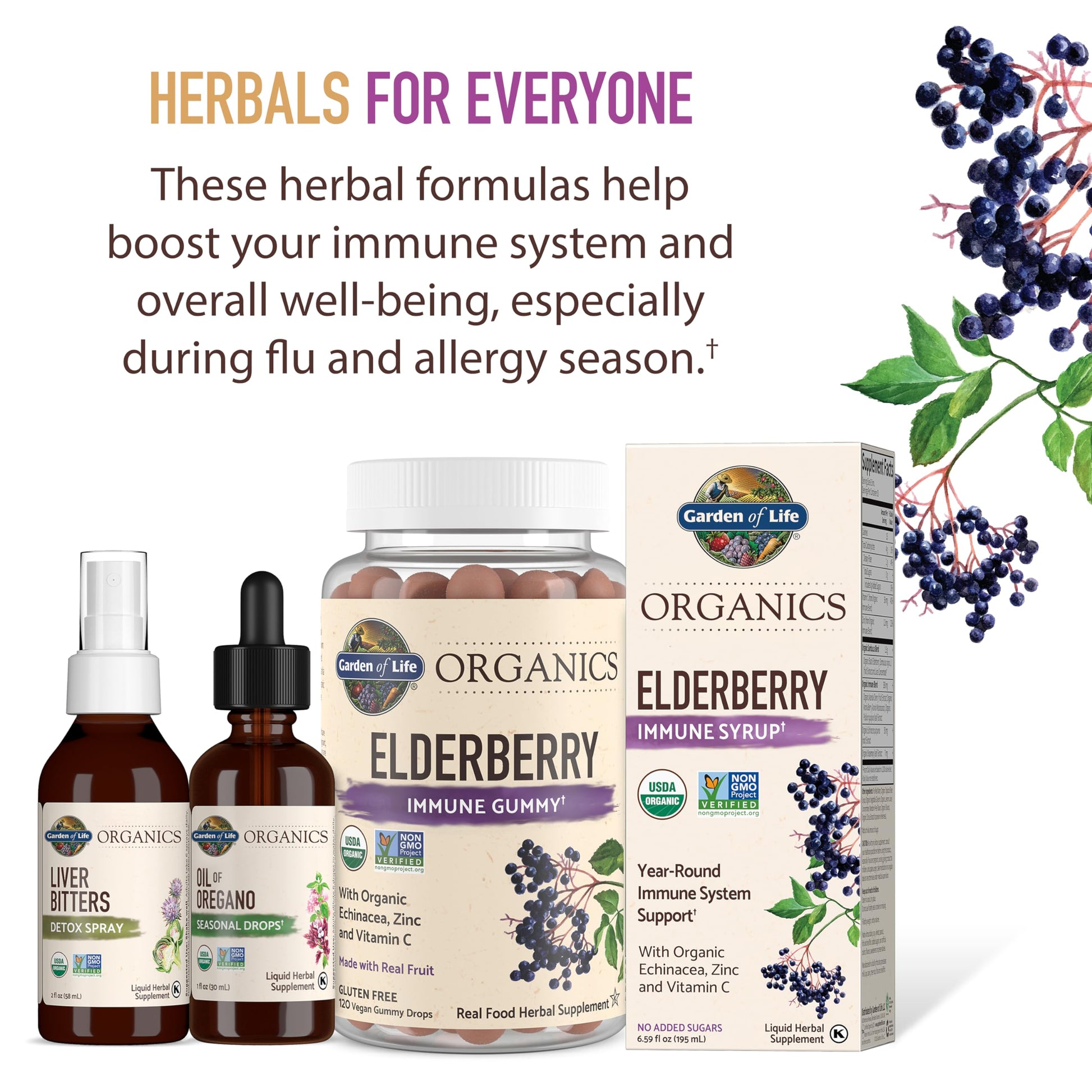 Garden of Life Organics Elderberry Gummies for Adults & Kids - Immune Support Supplement with Organic Fruit, Herbal Blend, Elderberry, Echinacea, Zinc, Vitamin C, 120 Vegan Gluten Free Gummies - Nirvana Guru