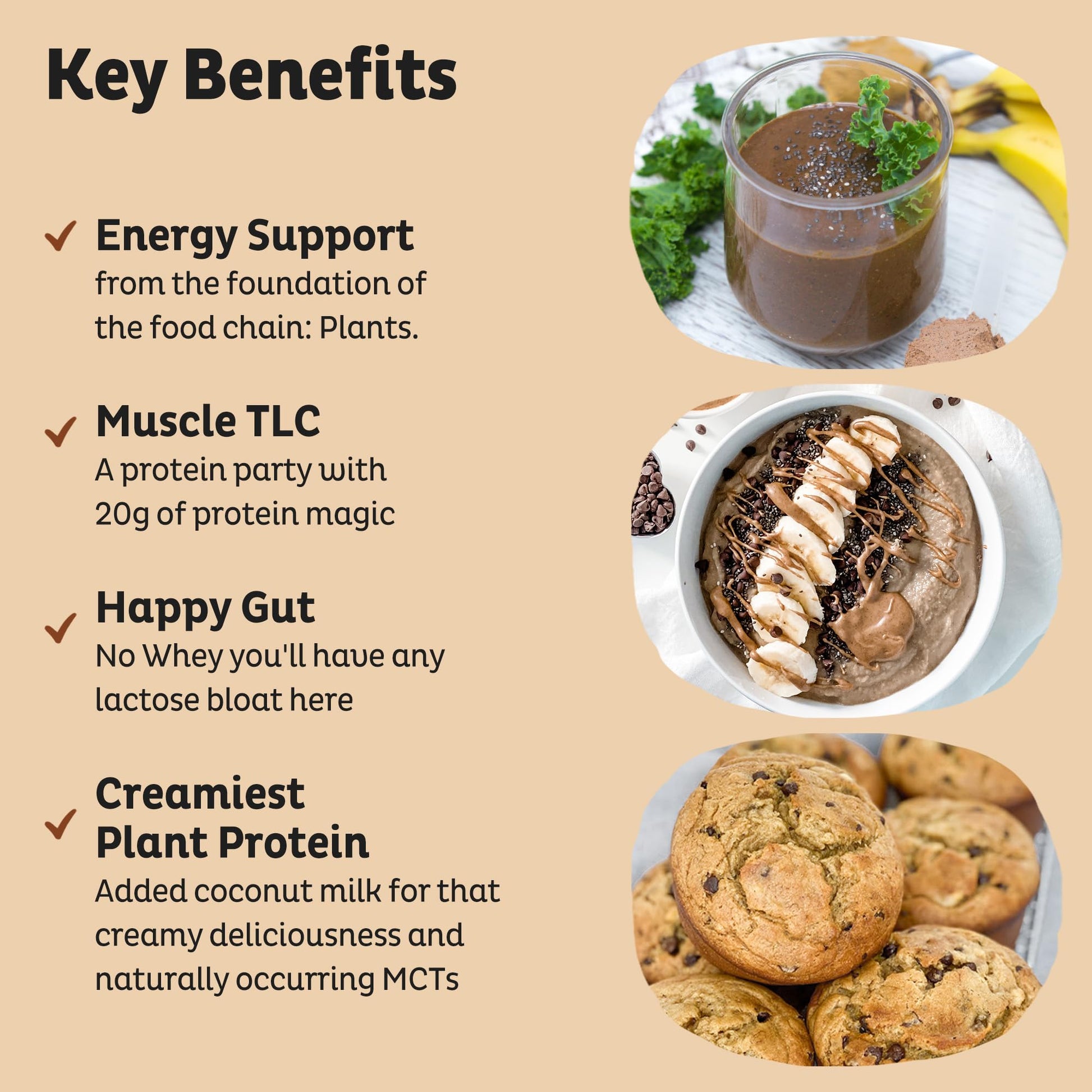 KOS Vegan Protein Powder Erythritol Free, Vanilla USDA Organic - Pea Protein Blend, Plant Based Superfood Rich in Vitamins & Minerals - Keto, Dairy Free - Meal Replacement for Women & Men, 28 Servings - Nirvana Guru