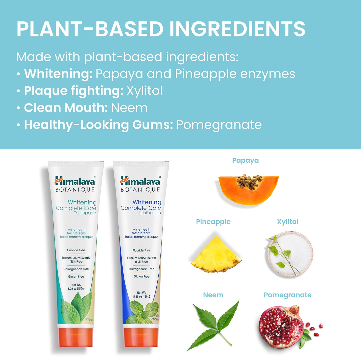 Himalaya Botanique Whitening Complete Care Toothpaste, Teeth Whitening, Fights Plaque, Fluoride Free, No Artificial Flavors, SLS Free, Cruelty Free, Foaming, Simply Mint Flavor, 5.29 Oz, 2 Pack - Nirvana Guru