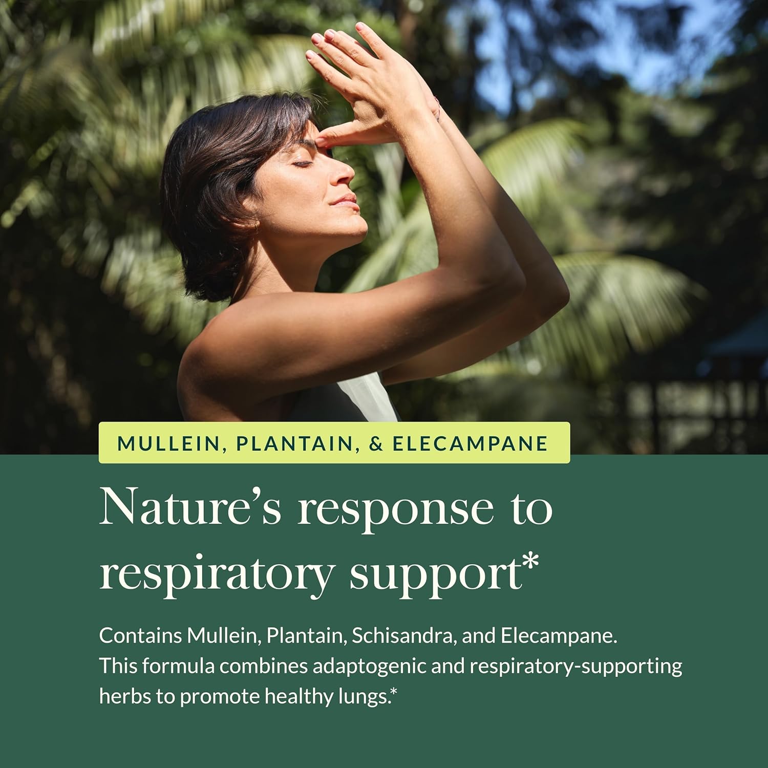 Gaia Herbs Mighty Lungs - Lung Support Supplement to Help Maintain Overall Lung & Respiratory Health* - With Mullein, Plantain, Schisandra & Elecampane - 60 Vegan Liquid Phyto-Capsules (30-Day Supply) - Nirvana Guru