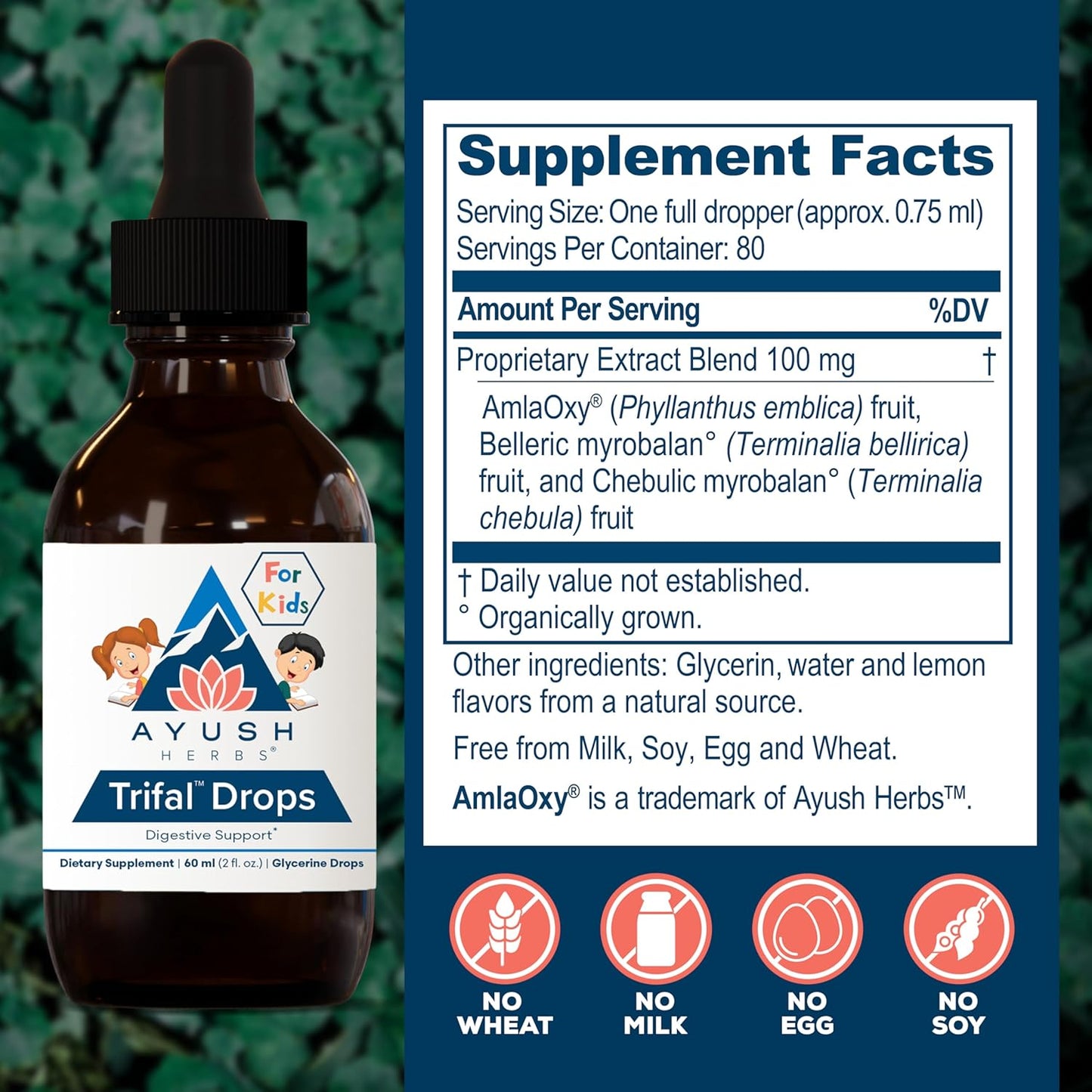 Ayush Herbs Trifal Drops - Digestive & Immune Wellness Booster for Kids, Kids Alcohol Free Digestive Support Drops with Amla for Toddlers, Children - 2 FL Oz Dropper Bottle (80 Servings) Nirvana Guru
