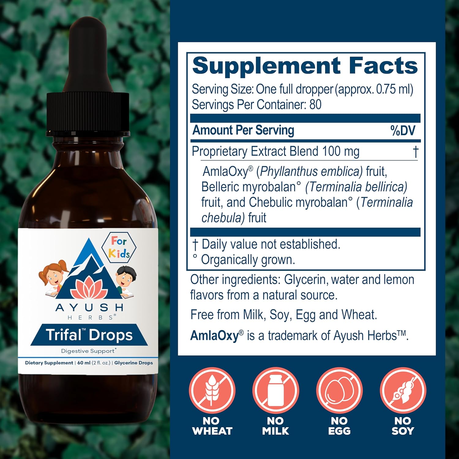 Ayush Herbs Trifal Drops - Digestive & Immune Wellness Booster for Kids, Kids Alcohol Free Digestive Support Drops with Amla for Toddlers, Children - 2 FL Oz Dropper Bottle (80 Servings) Nirvana Guru