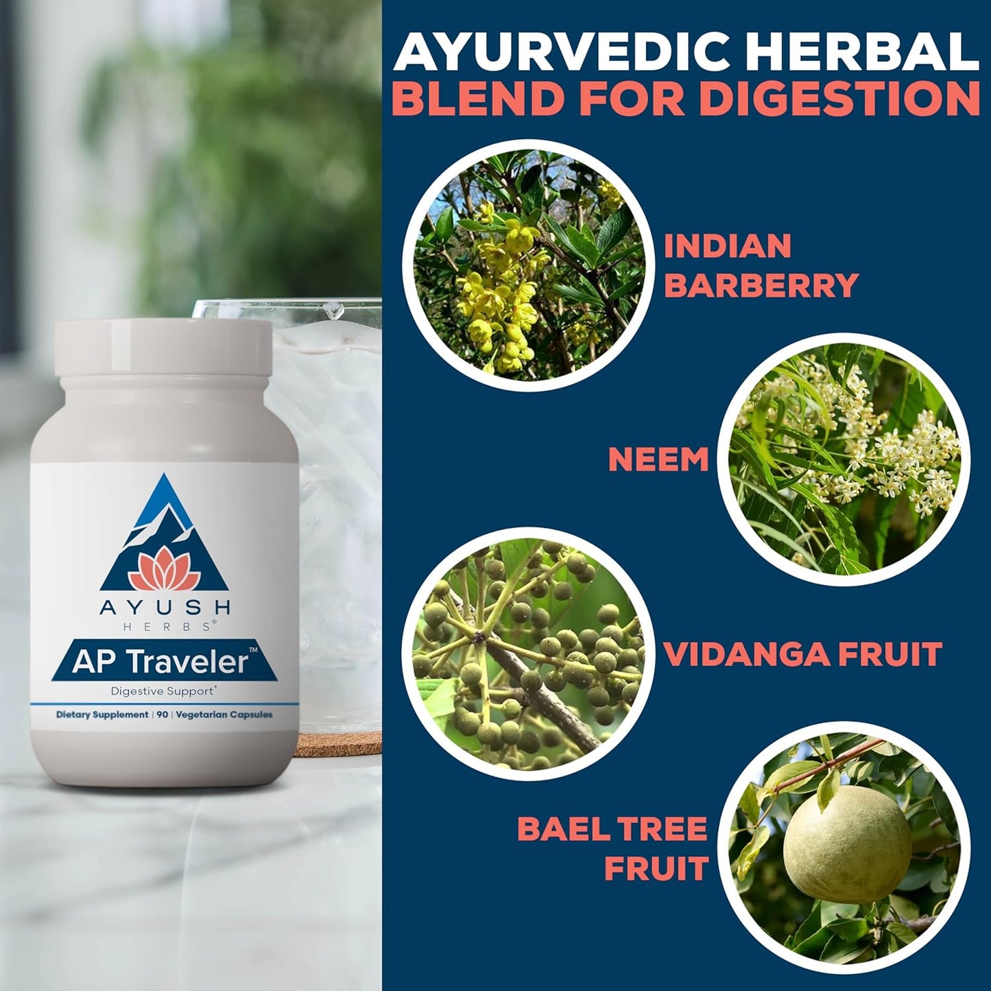 Ayush Herbs AP Traveler Digestive Support - Holy Basil & Neem Supplement for Women & Men, Source of Antioxidants, Helps Digestion, Made with Organic Ingredients - 90 Vegetarian Capsules (1 Count) Nirvana Guru