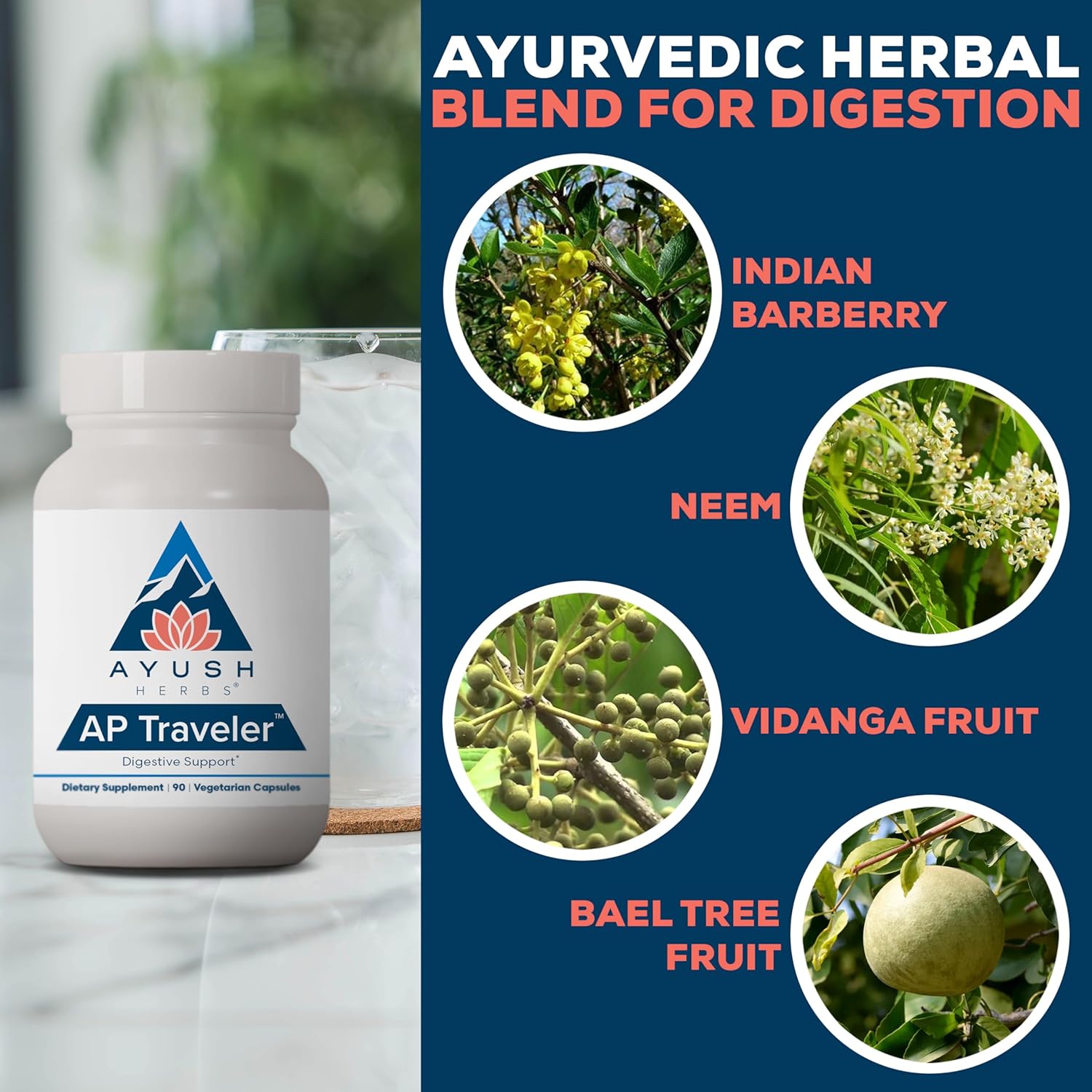 Ayush Herbs AP Traveler Digestive Support - Holy Basil & Neem Supplement for Women & Men, Source of Antioxidants, Helps Digestion, Made with Organic Ingredients - 90 Vegetarian Capsules (1 Count) Nirvana Guru