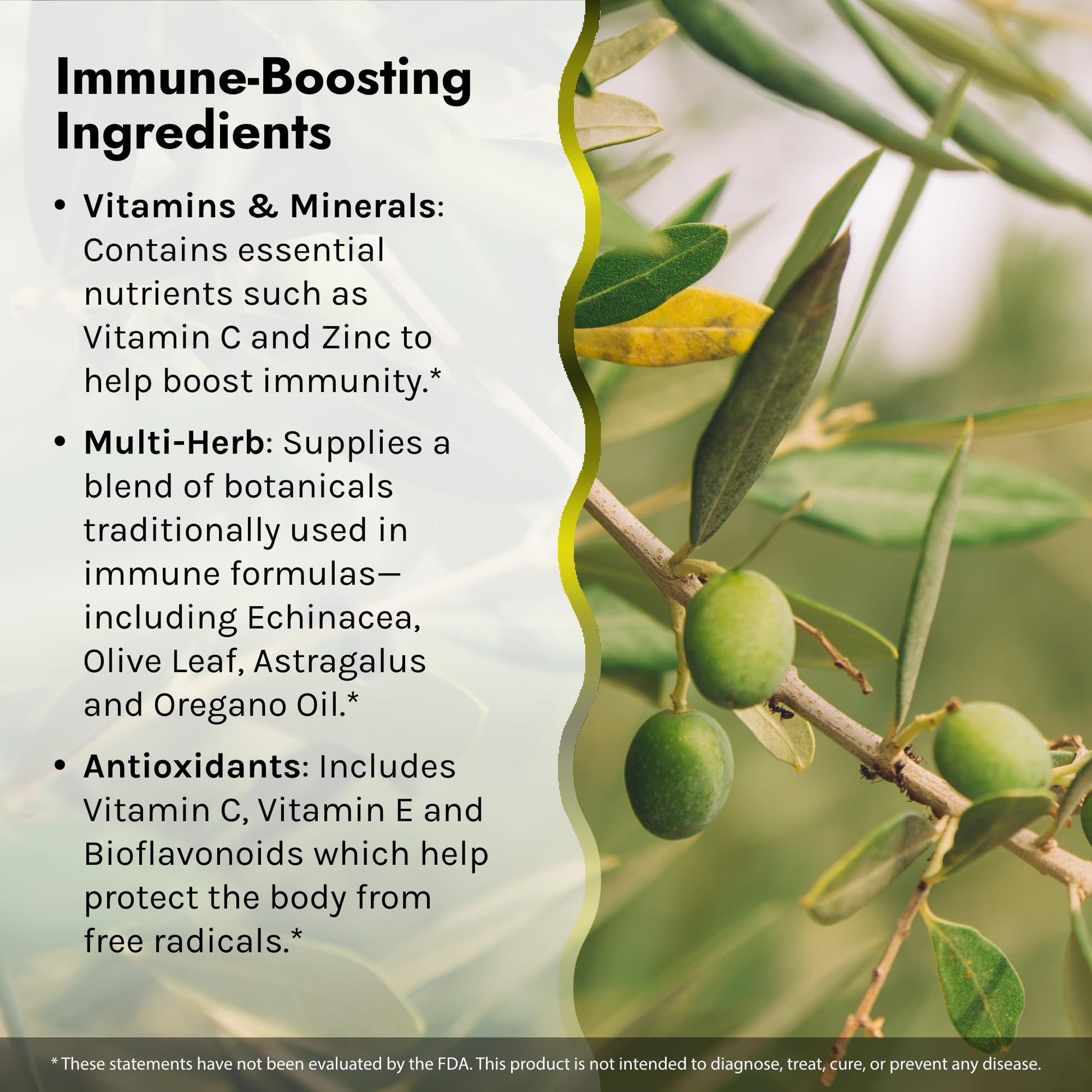 Irwin Naturals Immuno-Shield - 100 Liquid Softgels, Pack of 2 - All Season Wellness for Body's Natural Defense System - 32 Total Servings - Nirvana Guru