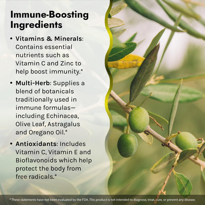 Irwin Naturals Immuno-Shield - 100 Liquid Softgels, Pack of 2 - All Season Wellness for Body's Natural Defense System - 32 Total Servings - Nirvana Guru
