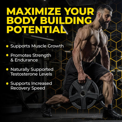 Avry Labs Extreme Anabolic Supplement – Dietary Supplement w/Turkesterone to Support Muscle Growth, Strength, Recovery & Naturally Support Optimal Testosterone Levels – Vegan, 60 Capsules Nirvana Guru