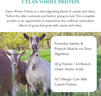 Mt. Capra Clean Whole Protein | Grass-Fed Goat Protein with Whey and Casein Protein | No Bloat, Build and Maintain Muscle, 20 g Protein per Serving, No Sweeteners | 13 Servings - 400 g - Nirvana Guru