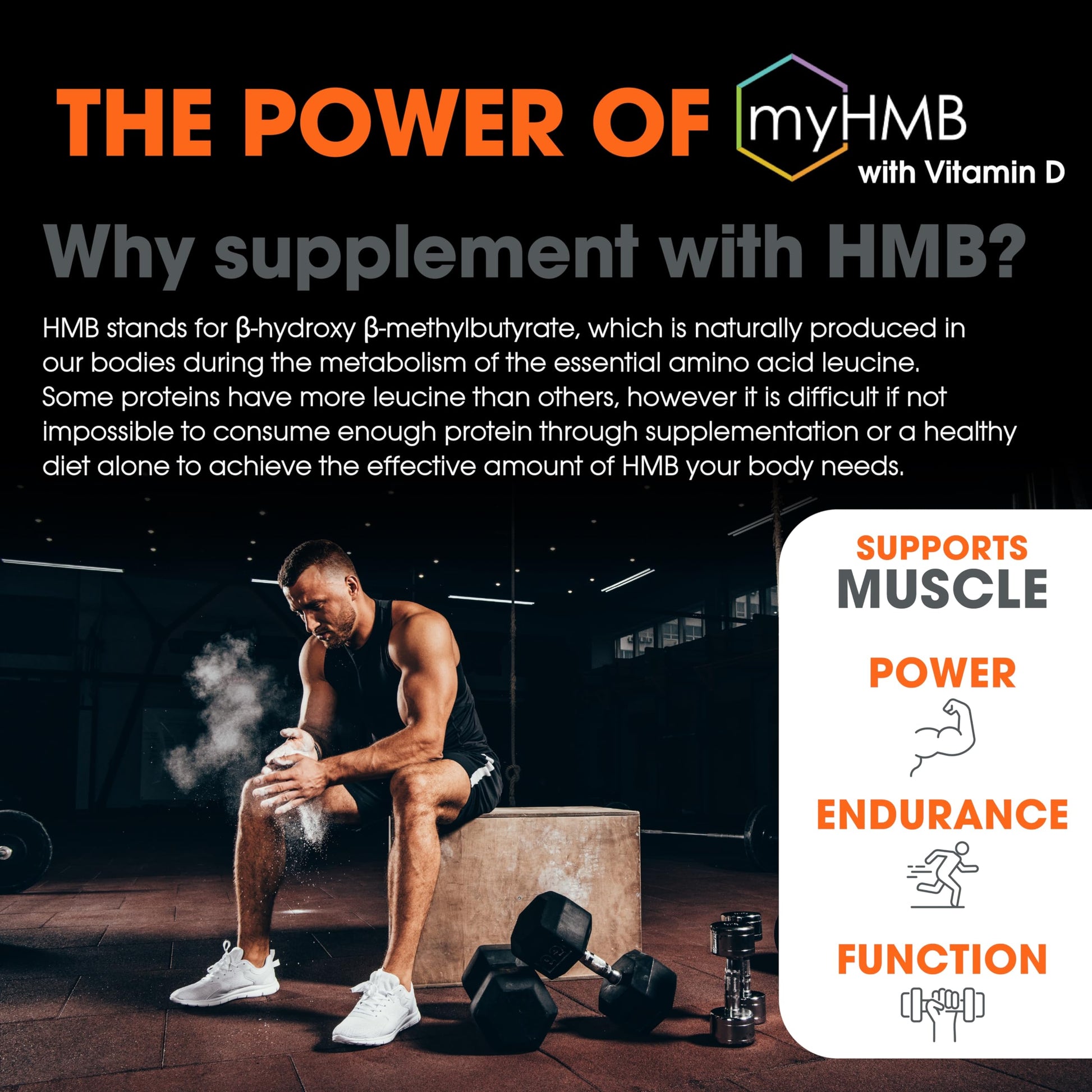 The Genius Brand Genius Muscle - Muscle Health Supplement for Growth, Endurance & Recovery - Non-Hormonal Formula - 6 Organic Mushrooms - Naturally-Sweetened - 30 Servings - Strawberry Vanilla Nirvana Guru