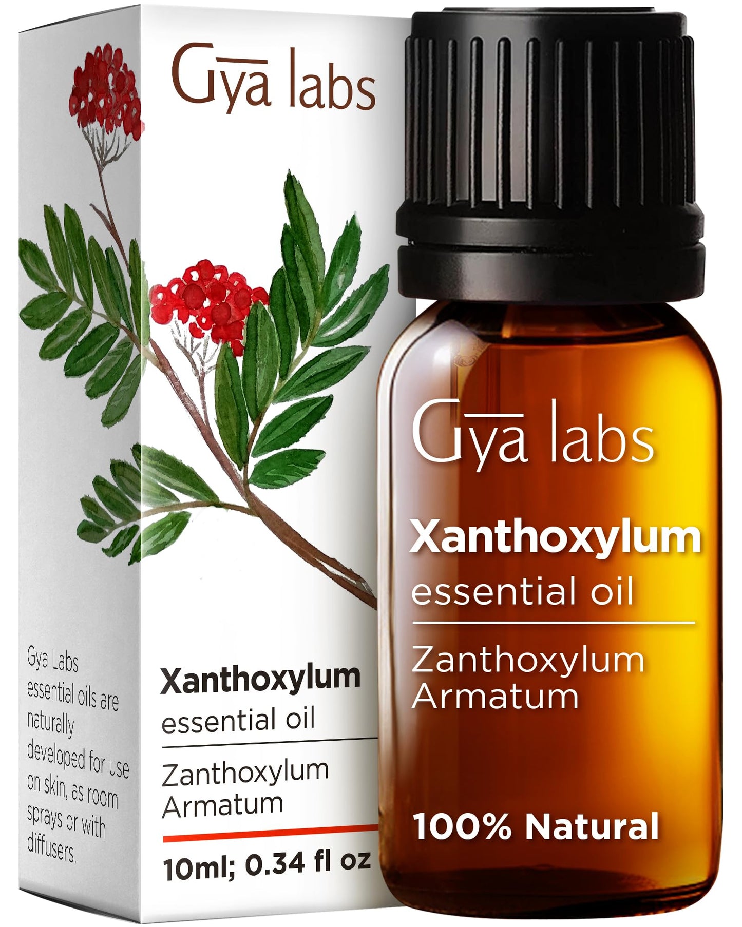 Gya Labs Frankincense Essential Oil for Face - 0.34 Fl Oz - 100% Pure Natural Frankincense Oil for Skin, Body Massages & Candle Making - Premium Grade for Wellness & Comfort - Woody & Calming Scent