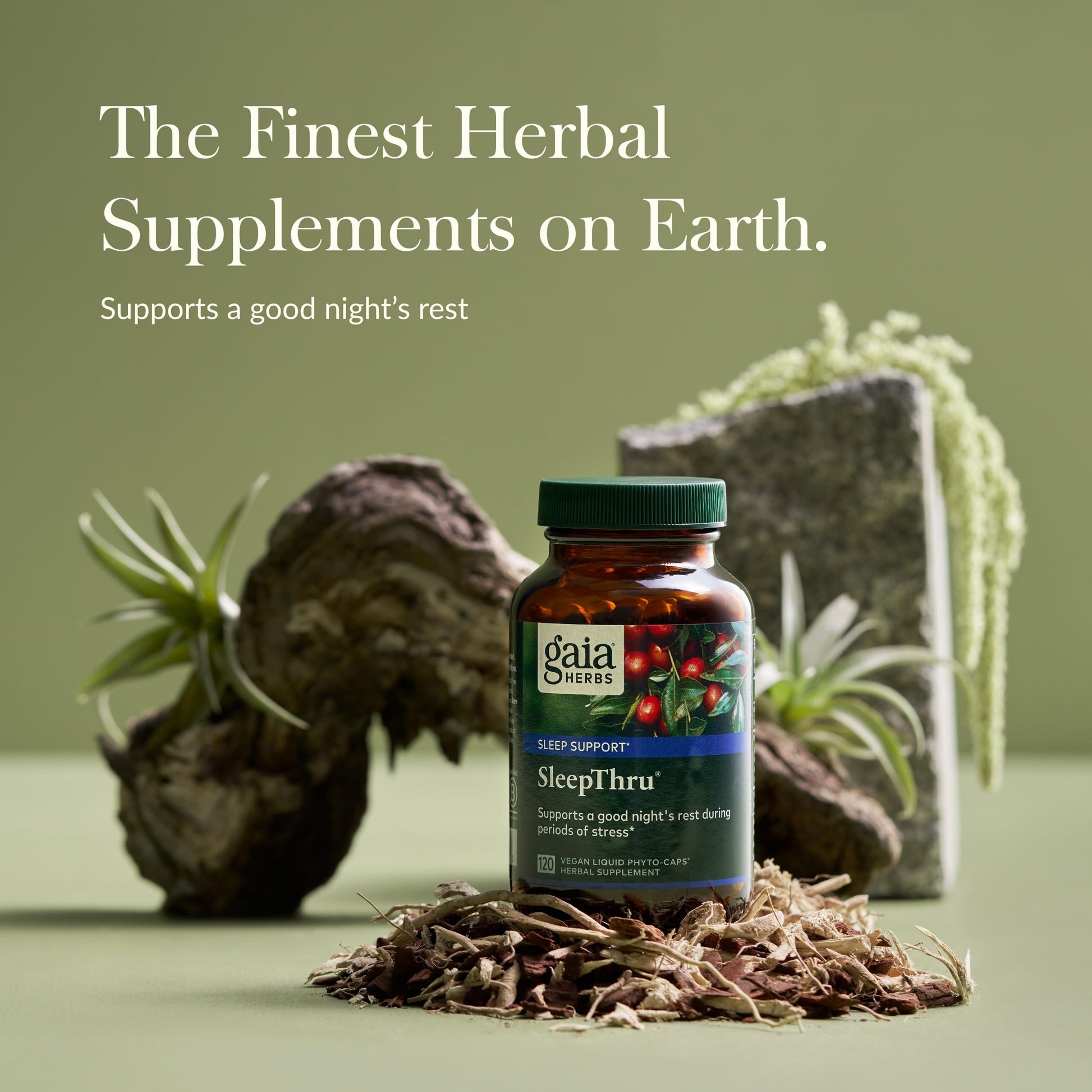 Gaia Herbs SleepThru - Natural Sleep Support Supplement with Organic Ashwagandha Root, Organic Magnolia Bark, Passionflower, and Jujube Date - 60 Vegan Liquid Phyto-Capsules (30-Day Supply) - Nirvana Guru