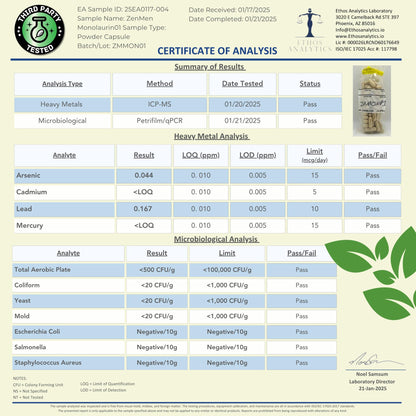 H. Pylori Support | Lactobacillus Reuteri Probiotic with Mastic Gum for Digestion & GI Health - Third Party Tested, 60 Vegan Capsules, Made in The USA Nirvana Guru
