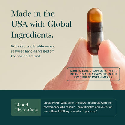 Gaia Herbs Thyroid Support - Made with Ashwagandha, Kelp, Brown Seaweed, and Schisandra to Support Healthy Metabolic Balance and Overall Well-Being - 60 Vegan Liquid Phyto-Capsules (20-Day Supply) - Nirvana Guru