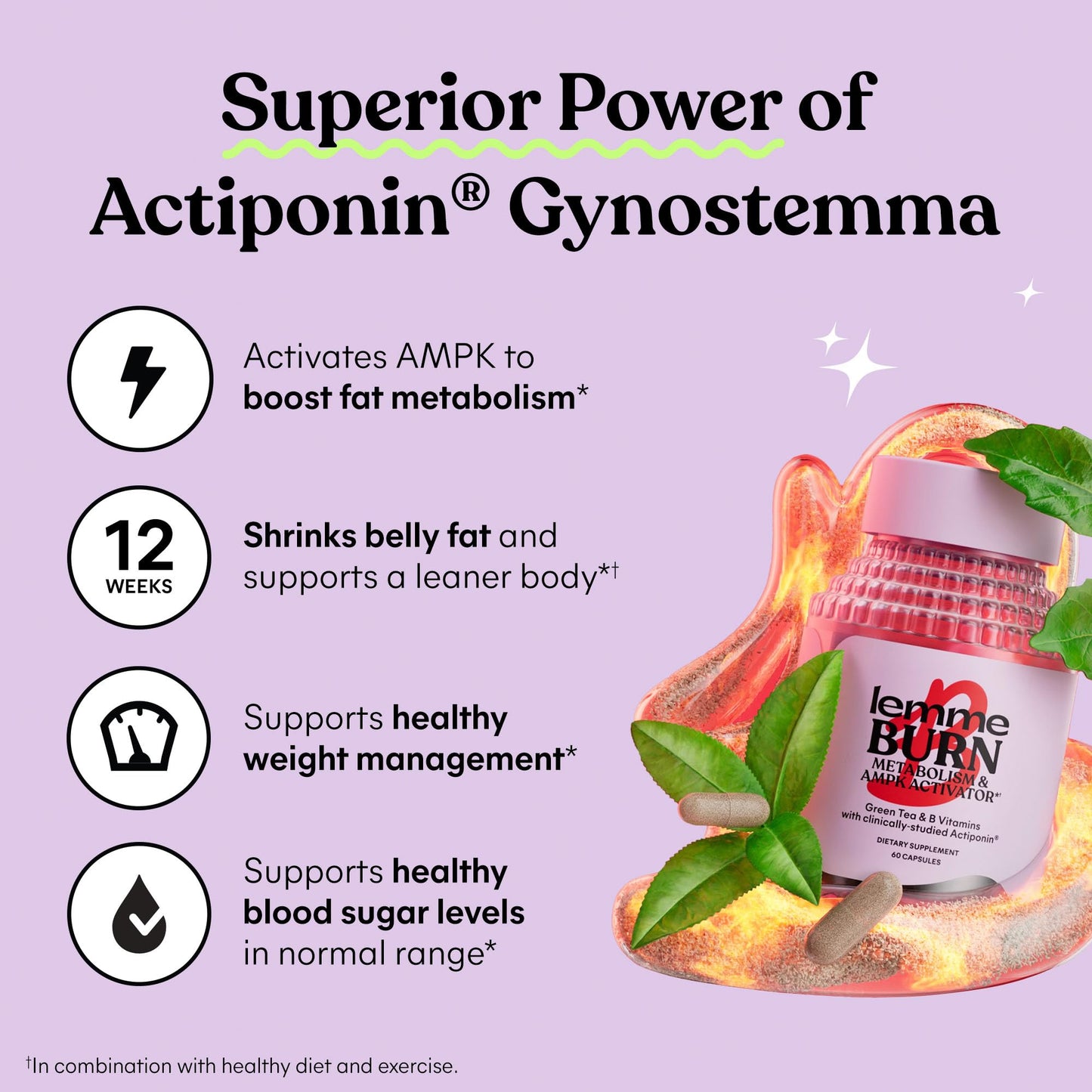 Lemme Burn - Metabolism, Belly Fat Burning + AMPK Activating Supplement for Men & Women w/Clinically Studied Actiponin Gynostemma, Green Tea Extract, Vitamins B6 & B12 - Gluten Free, 60 Count