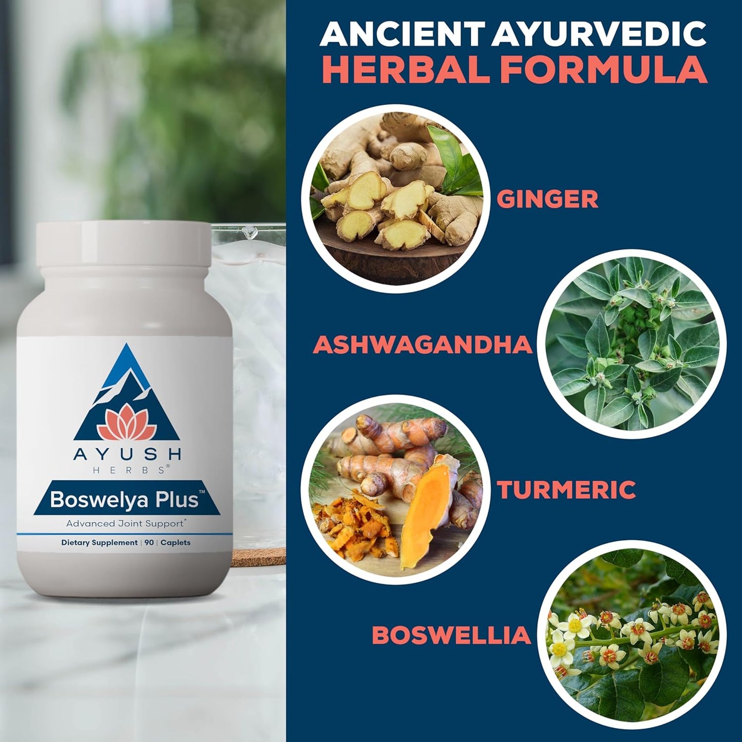 Ayush Herbs Boswelya Plus - Glucosamine Chondroitin Joint Support Supplement, Turmeric Muscle Support for Men & Women, Joint Care with Curcumin - 90 Vegetarian Capsules (1 Count) Nirvana Guru