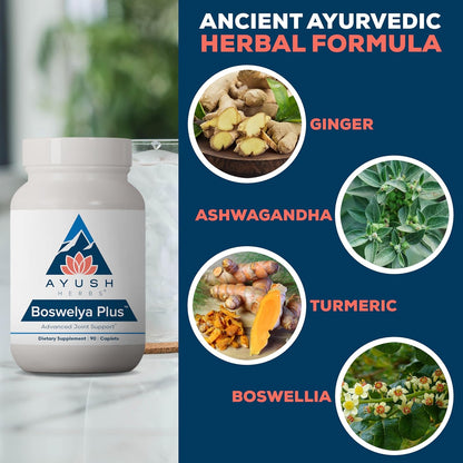 Ayush Herbs Boswelya Plus - Glucosamine Chondroitin Joint Support Supplement, Turmeric Muscle Support for Men & Women, Joint Care with Curcumin - 90 Vegetarian Capsules (1 Count) Nirvana Guru