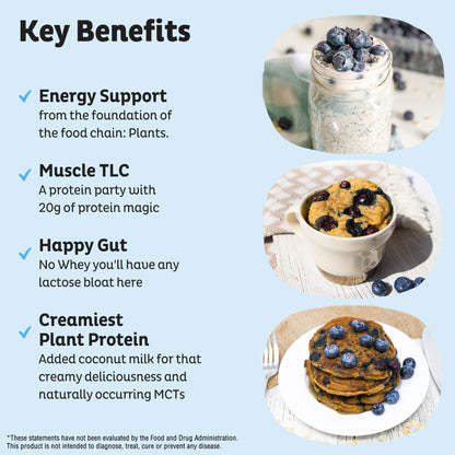 KOS Vegan Protein Powder Erythritol Free, Vanilla USDA Organic - Pea Protein Blend, Plant Based Superfood Rich in Vitamins & Minerals - Keto, Dairy Free - Meal Replacement for Women & Men, 28 Servings - Nirvana Guru