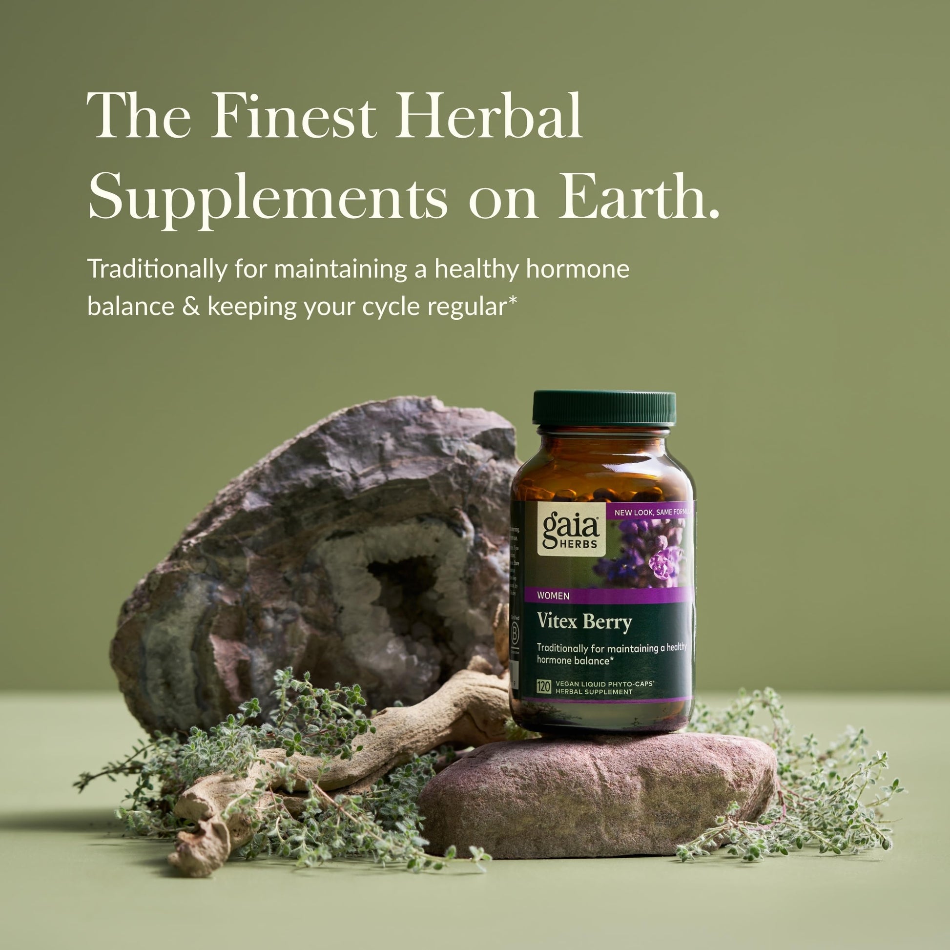 Gaia Herbs Vitex Berry - Supports Hormone Balance & Fertility in Women - 60 Vegan Liquid Phyto-Capsules (30-Day Supply) - Nirvana Guru