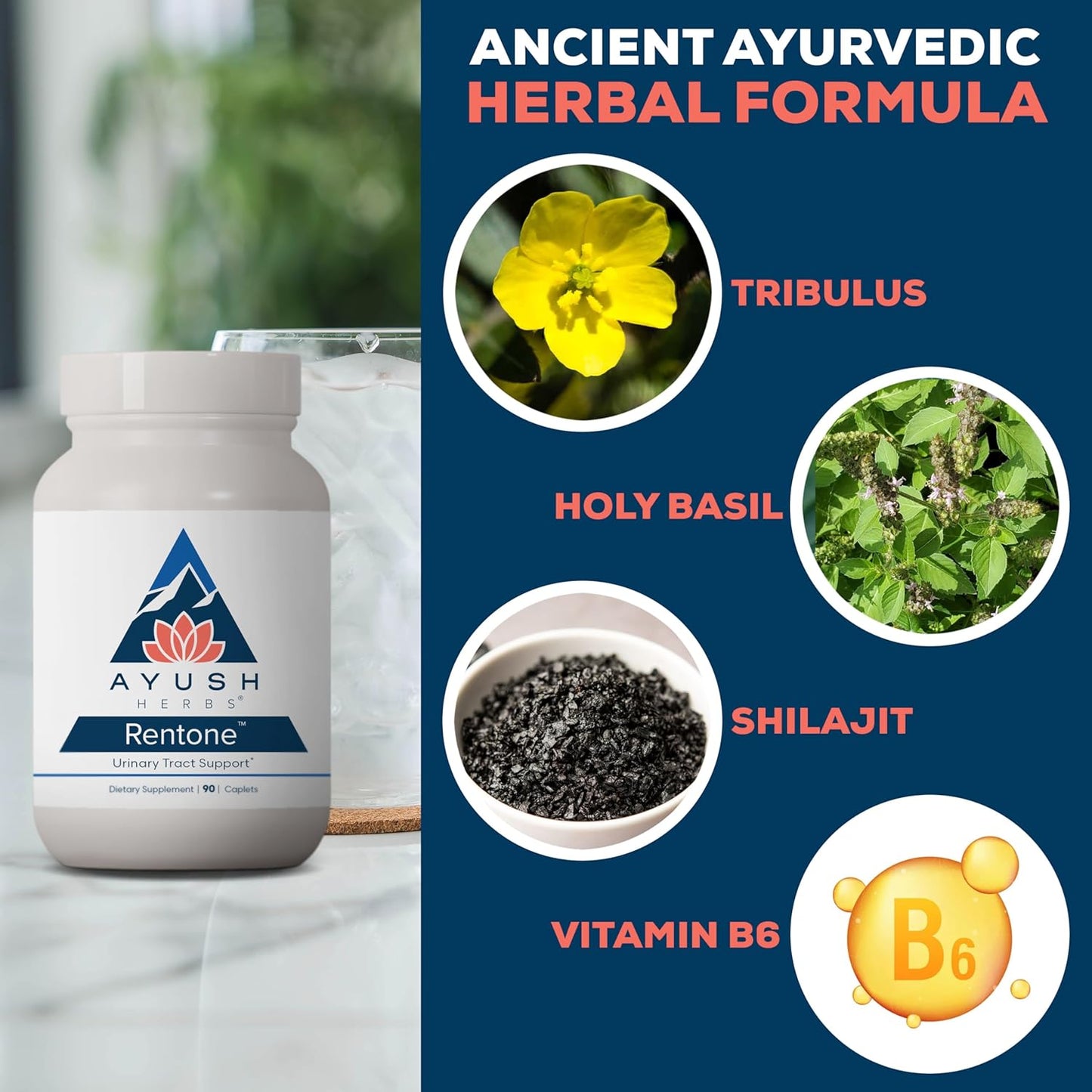 Ayush Herbs Rentone - Kidney Support Supplement with Cranberry, Kidney Cleanse Pills for Women & Men, Urinary Health & Bladder Function - 90 Vegetarian Capsules (1 Count) Nirvana Guru