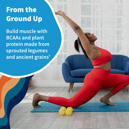 Vegan Protein Powder - Chocolate Organic Protein Powder, 22g Plant Based Protein & BCAAs, Probiotics & Digestive Enzymes - Garden of Life, Gluten & Lactose Free 1.5 LB - Nirvana Guru