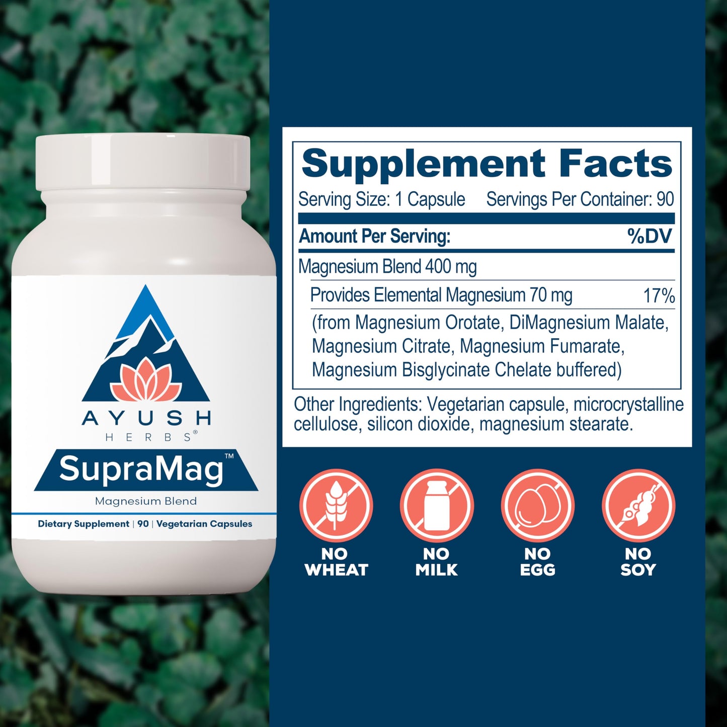 Ayush Herbs SupraMag - Magnesium Blend, 400mg Magnesium Complex Supplement with Chelated Magnesium Bisglycinate, Citrate, Ororate for Sleep, Energy, & Brain Health - 90 Vegetarian Capsules (1 Count) Nirvana Guru