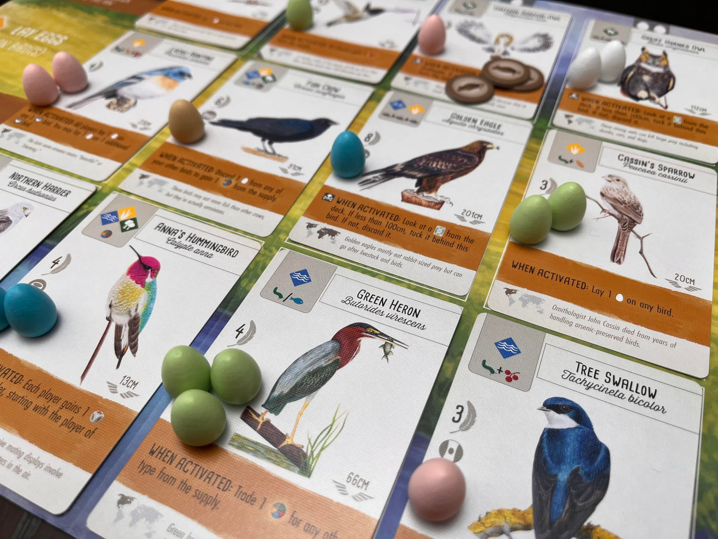 Stonemaier Games: Wingspan (Base Game) by Elizabeth Hargrave | A Relaxing, Award-Winning Strategy Board Game About Birds for Adults and Family | 1-5 Players, 70 Mins, Ages 14+ Nirvana Guru