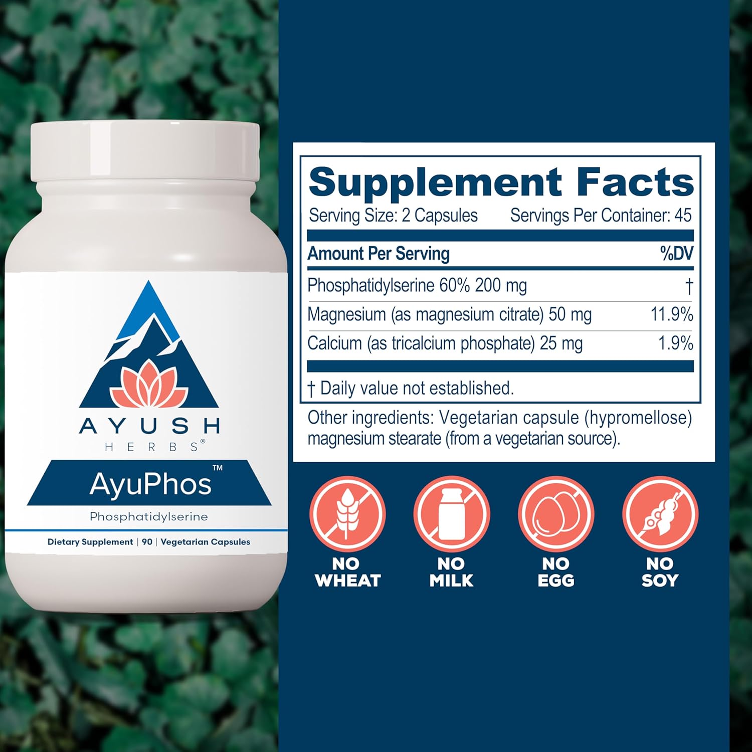 Ayush Herbs AyuPhos - Phosphatidylserine Supplement for Men & Women, Soy-Free Phosphatidyl Serine, Brain, Memory, & Cognitive Support for Adults, 200mg Per Pill - 90 Vegetarian Capsules (1 Count) Nirvana Guru