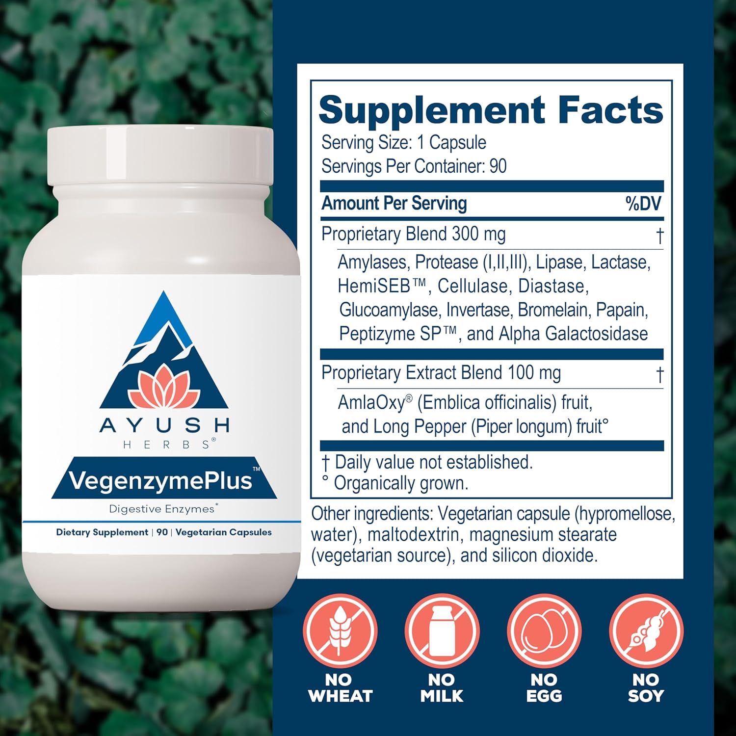 Ayush Herbs VegenzymePlus - Digestive Enzymes for Women & Men, Enzymes for Digestion with Bromelain, Lipase, Lactase, Protease, 100% Vegetarian Gut Health Supplement - 60 Capsules (1 Count) Nirvana Guru