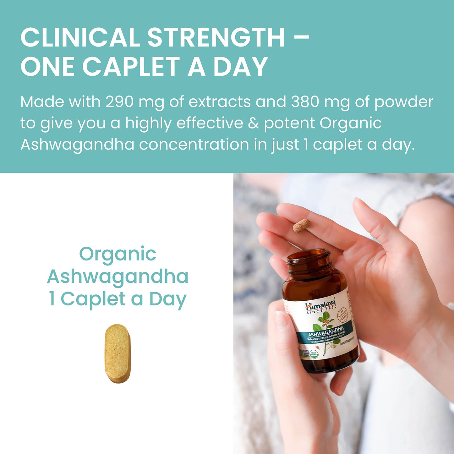 Himalaya Organic Ashwagandha, 120 Day Supply, Herbal Supplement for Stress Relief, Energy, Occasional Sleeplessness, Excipient Free, Organic, Non-GMO, Vegan, Gluten Free, 670 mg, 60 Caplets, 2 Pack - Nirvana Guru