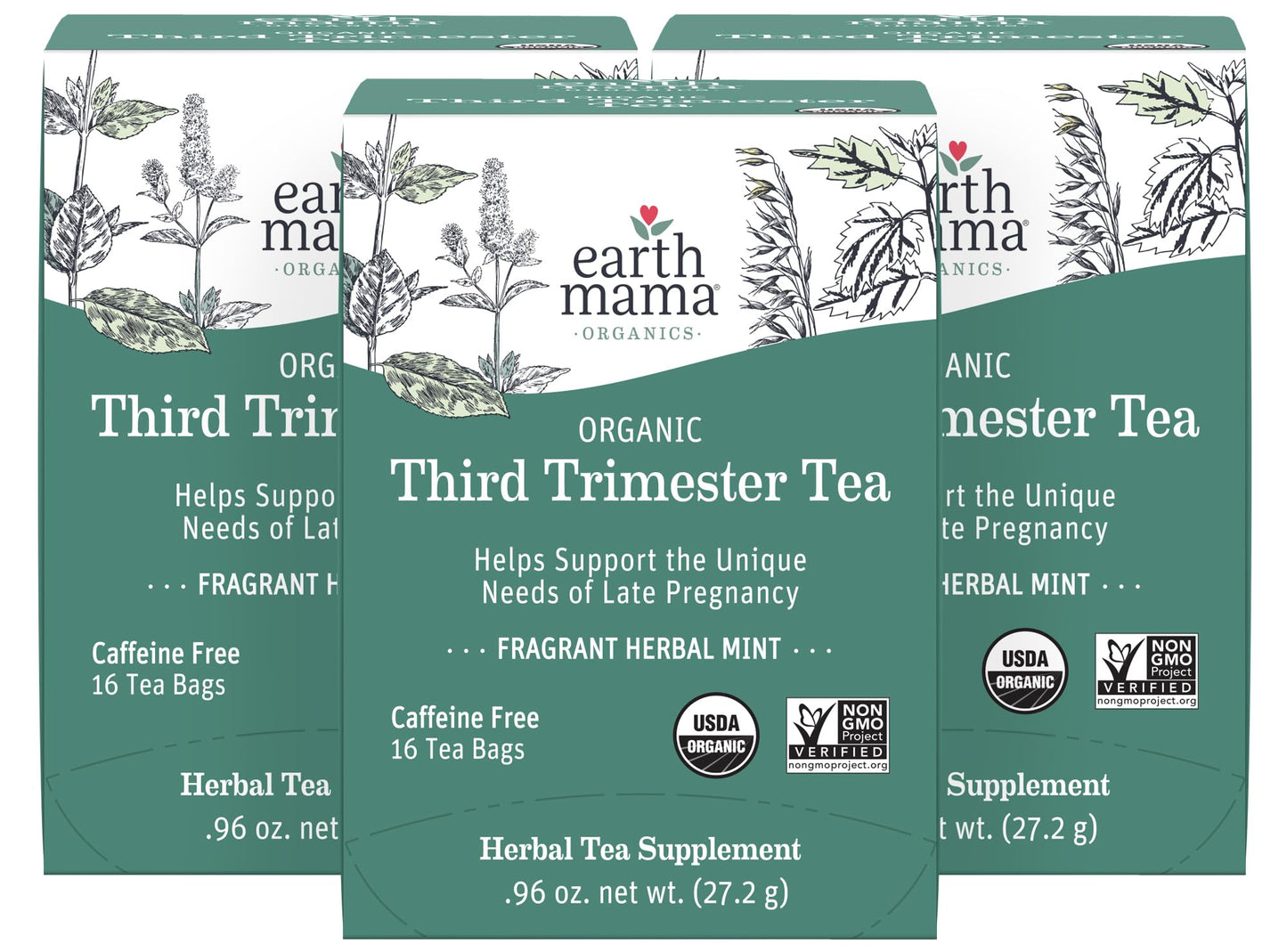 Earth Mama Organic Third Trimester Tea Bags | 100% USDA Organic Herbal Tea for Late Pregnancy Comfort + Childbirth Preparation, 16 Teabags Per Box (2-Pack) Nirvana Guru