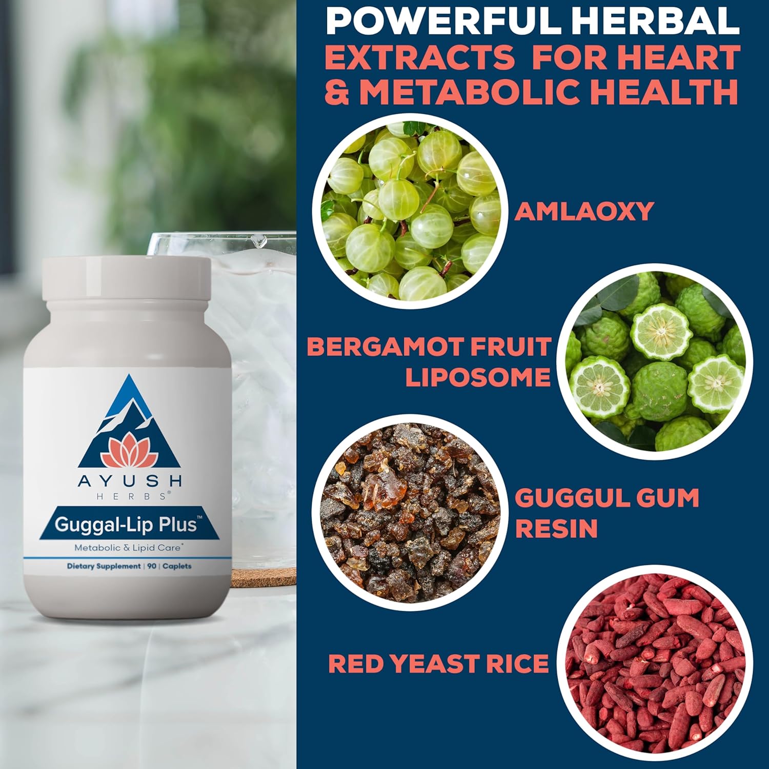 Ayush Herbs Guggal-Lip Plus - Metabolic Vitamins for Women & Men, Daily Pill, Pure & Natural Metabolic Health Supplement with Guggul - 90 Vegetarian Caplets (1 Count) Nirvana Guru