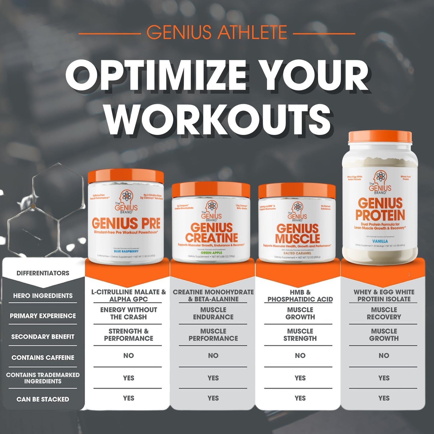 The Genius Brand Genius Muscle - Muscle Health Supplement for Growth, Endurance & Recovery - Non-Hormonal Formula - 6 Organic Mushrooms - Naturally-Sweetened - 30 Servings - Strawberry Vanilla Nirvana Guru