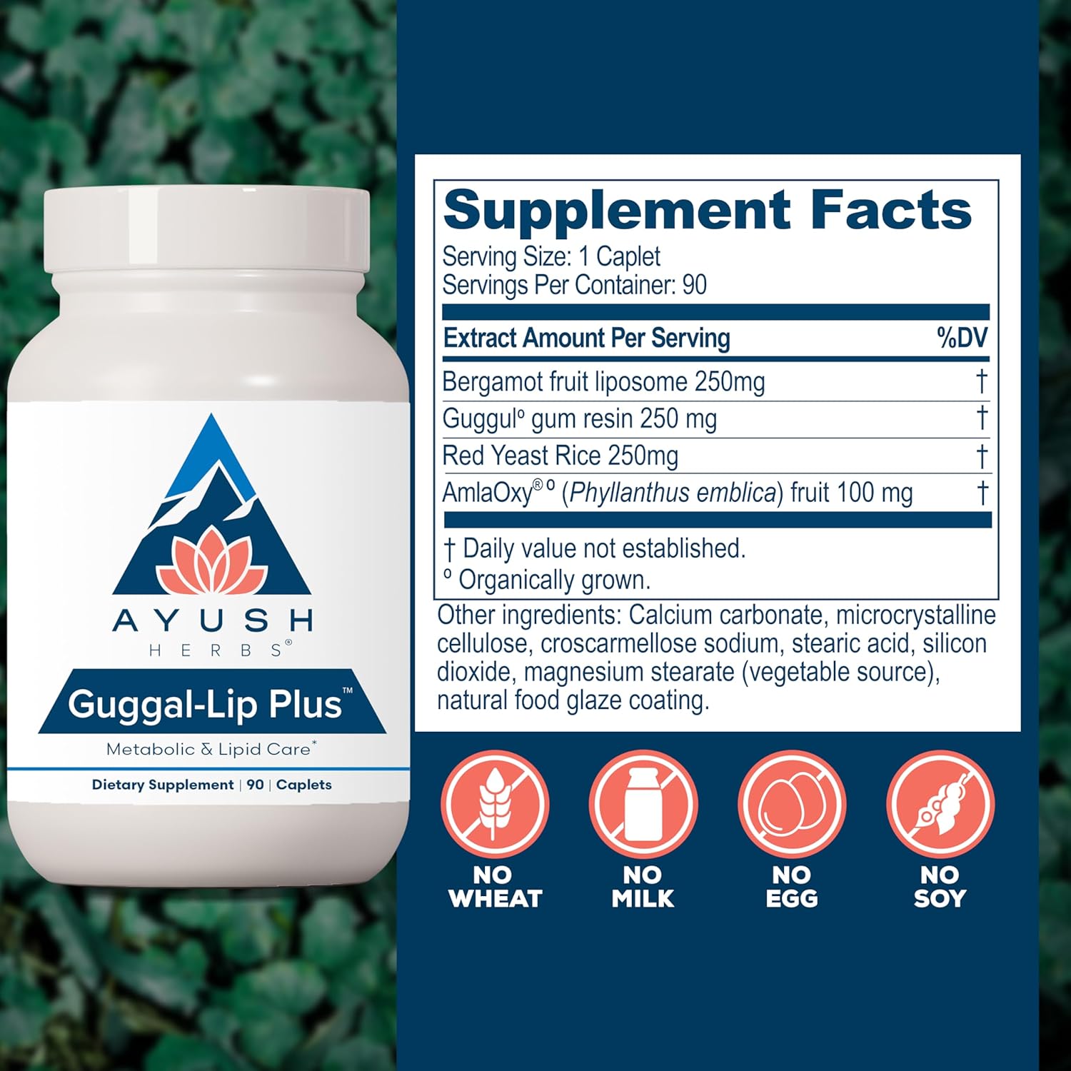 Ayush Herbs Guggal-Lip Plus - Metabolic Vitamins for Women & Men, Daily Pill, Pure & Natural Metabolic Health Supplement with Guggul - 90 Vegetarian Caplets (1 Count) Nirvana Guru