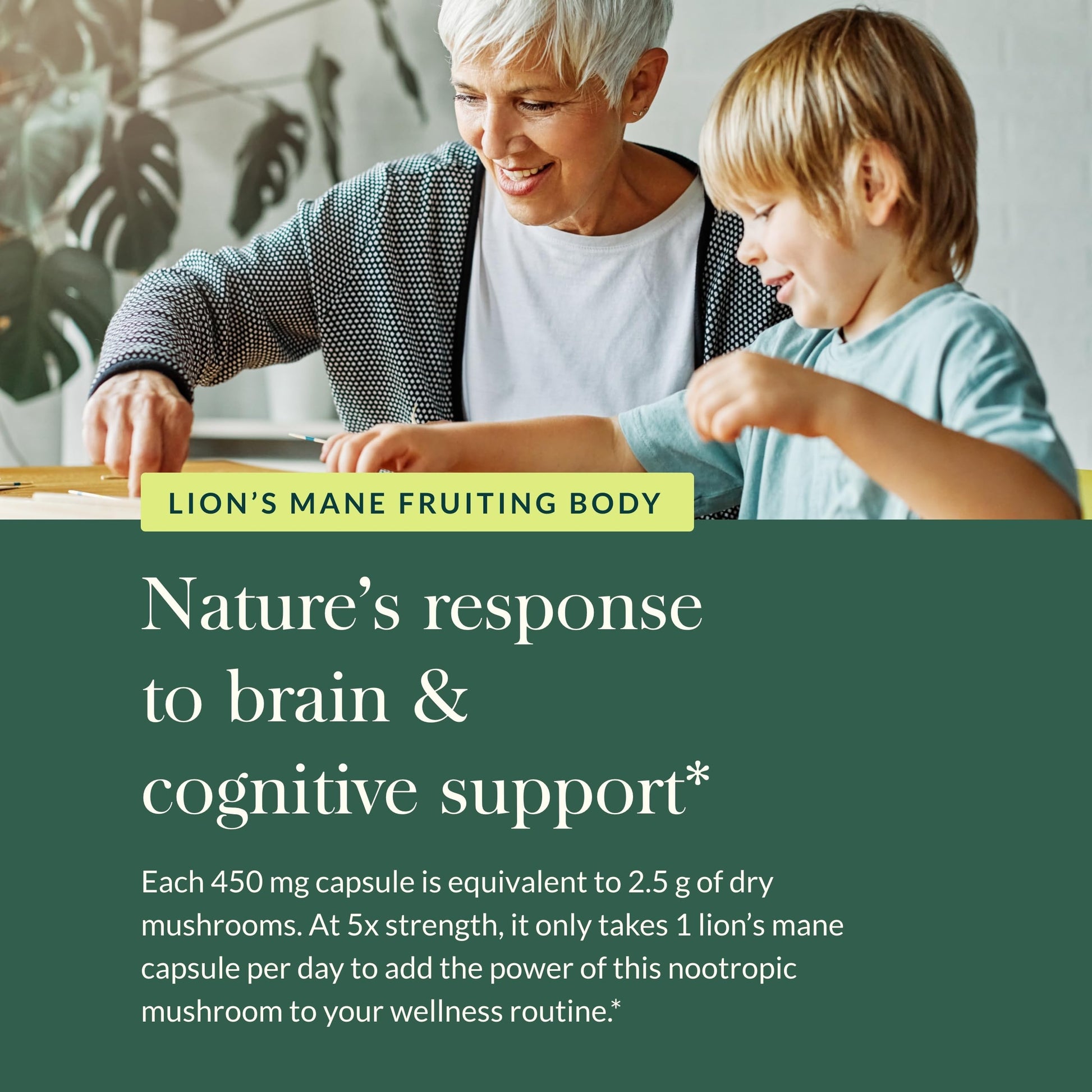 Gaia Herbs Lion’s Mane Mushroom - Brain & Nerve Health Support - 40 Vegan Capsules - Nirvana Guru