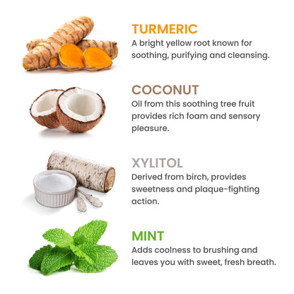 Himalaya Botanique Turmeric & Coconut Oil Whitening Antiplaque Herbal Toothpaste, Whitens Teeth, Fluoride Free, No Artificial Flavors, SLS Free, Vegan, Cruelty Free, Foaming, Mint Flavor, 4 Oz, 1 Pack - Nirvana Guru