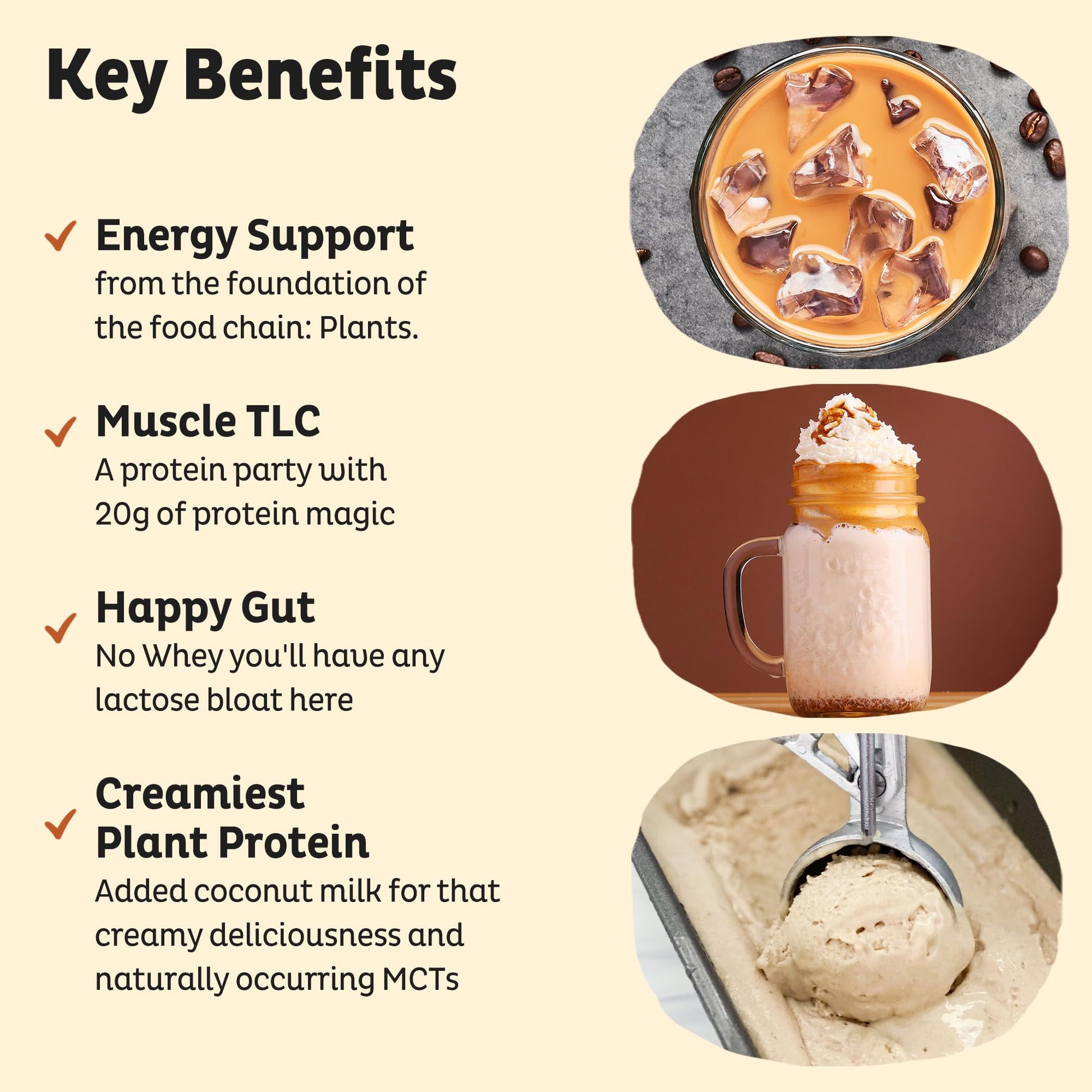 KOS Vegan Protein Powder Erythritol Free, Vanilla USDA Organic - Pea Protein Blend, Plant Based Superfood Rich in Vitamins & Minerals - Keto, Dairy Free - Meal Replacement for Women & Men, 28 Servings - Nirvana Guru